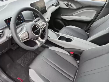 Foto van BYD DOLPHIN SURF