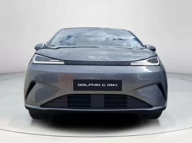 Foto van BYD DOLPHIN G