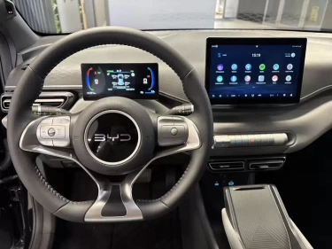 Foto van BYD DOLPHIN SURF