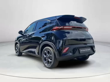 Foto van BYD DOLPHIN SURF