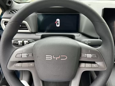 Foto van BYD ATTO 2