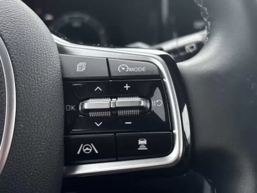 Foto van Kia Sorento