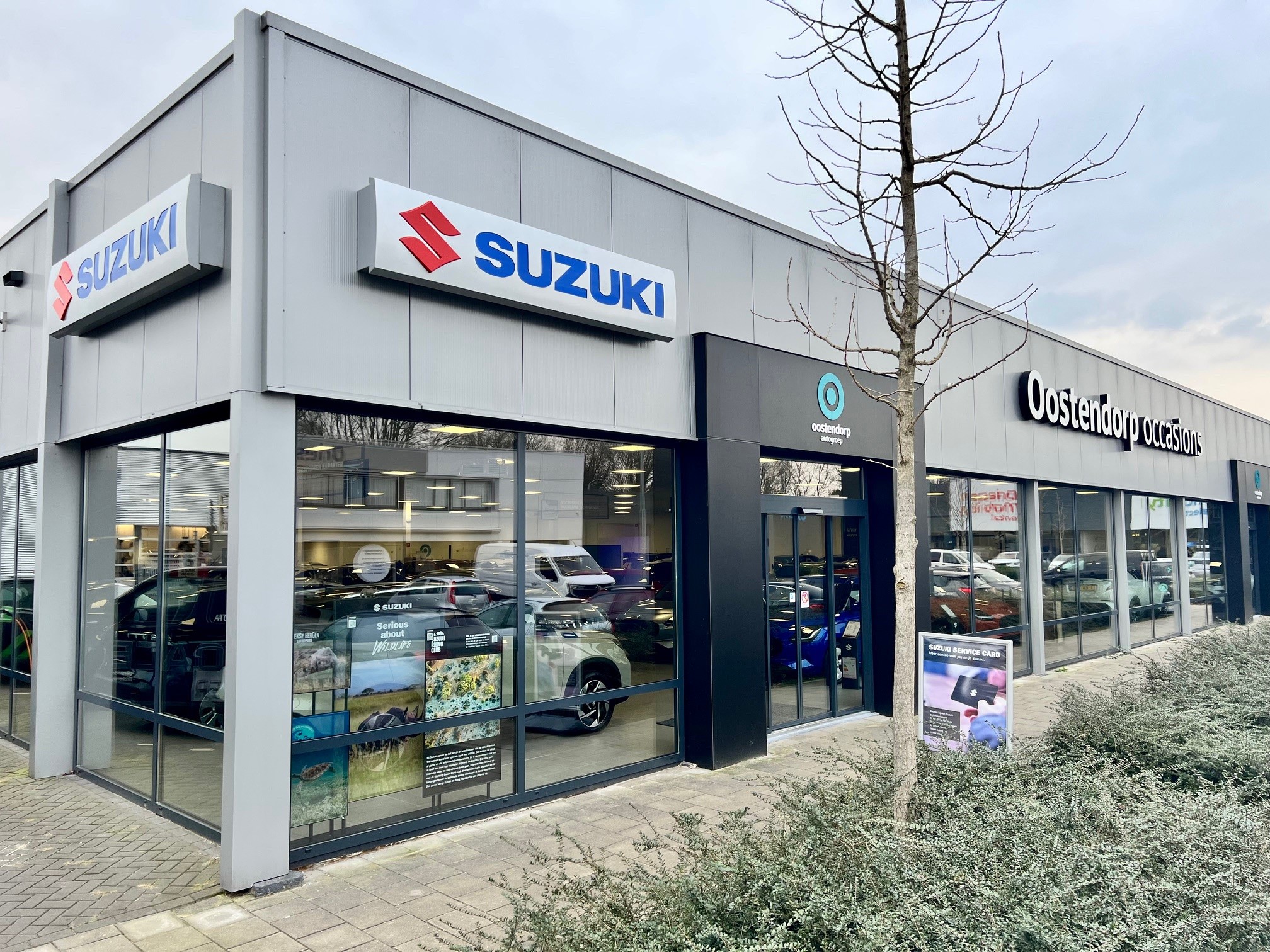 Oostendorp Suzuki Eindhoven