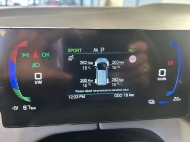 Foto van BYD DOLPHIN SURF