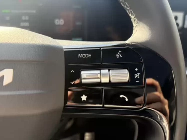 Foto van Kia Sorento