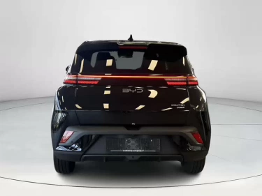 Foto van BYD DOLPHIN SURF