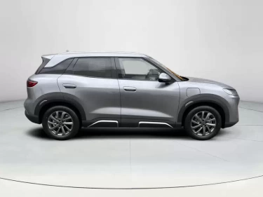 Foto van BYD ATTO 2