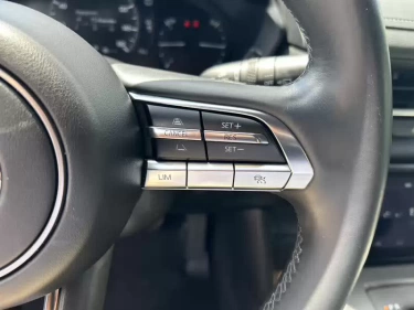 Foto van Mazda MX-30