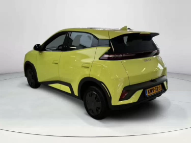 Foto van BYD DOLPHIN SURF