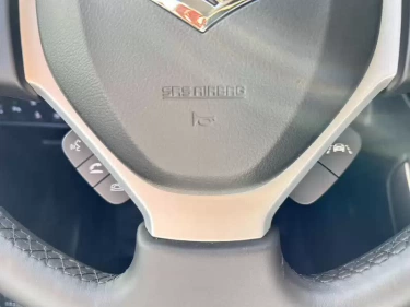 Foto van Suzuki S-Cross