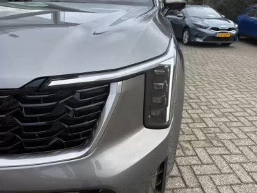 Foto van Kia Sorento