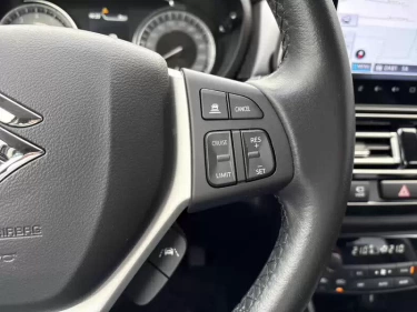 Foto van Suzuki S-Cross