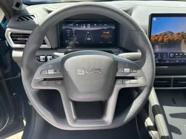 Foto van BYD ATTO 2