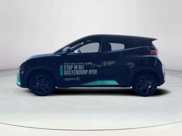 Foto van BYD DOLPHIN SURF