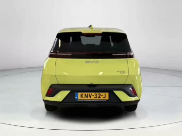 Foto van BYD DOLPHIN SURF